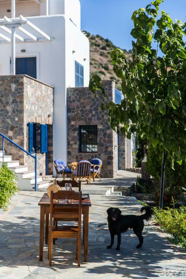 Villa Euphoria In Aegina, A' Marathonas Bay Dış mekan fotoğraf